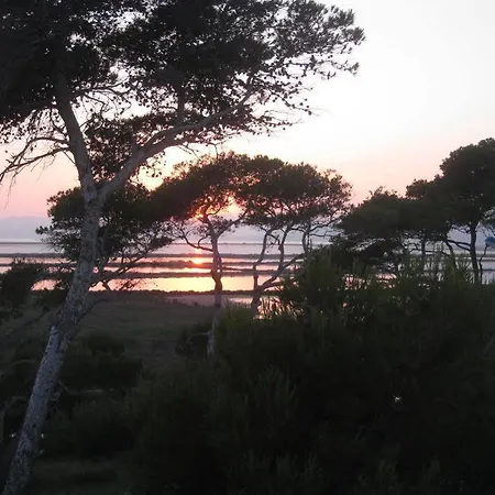 Hoteliere La Pinede Bleue Hyères